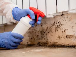 Best Air Quality Testing for Mold Spores  in Billings, MT